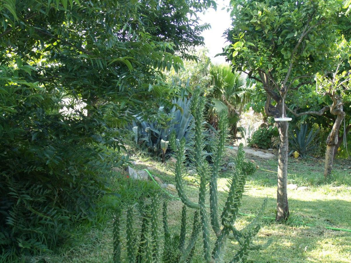 La Finca Blanca Alora Exterior foto